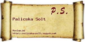 Palicska Solt névjegykártya